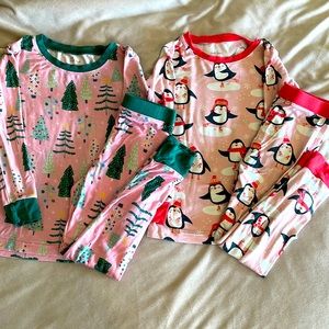 Little Sleepies 3T Girl Christmas/Winter Print, 2 pair
